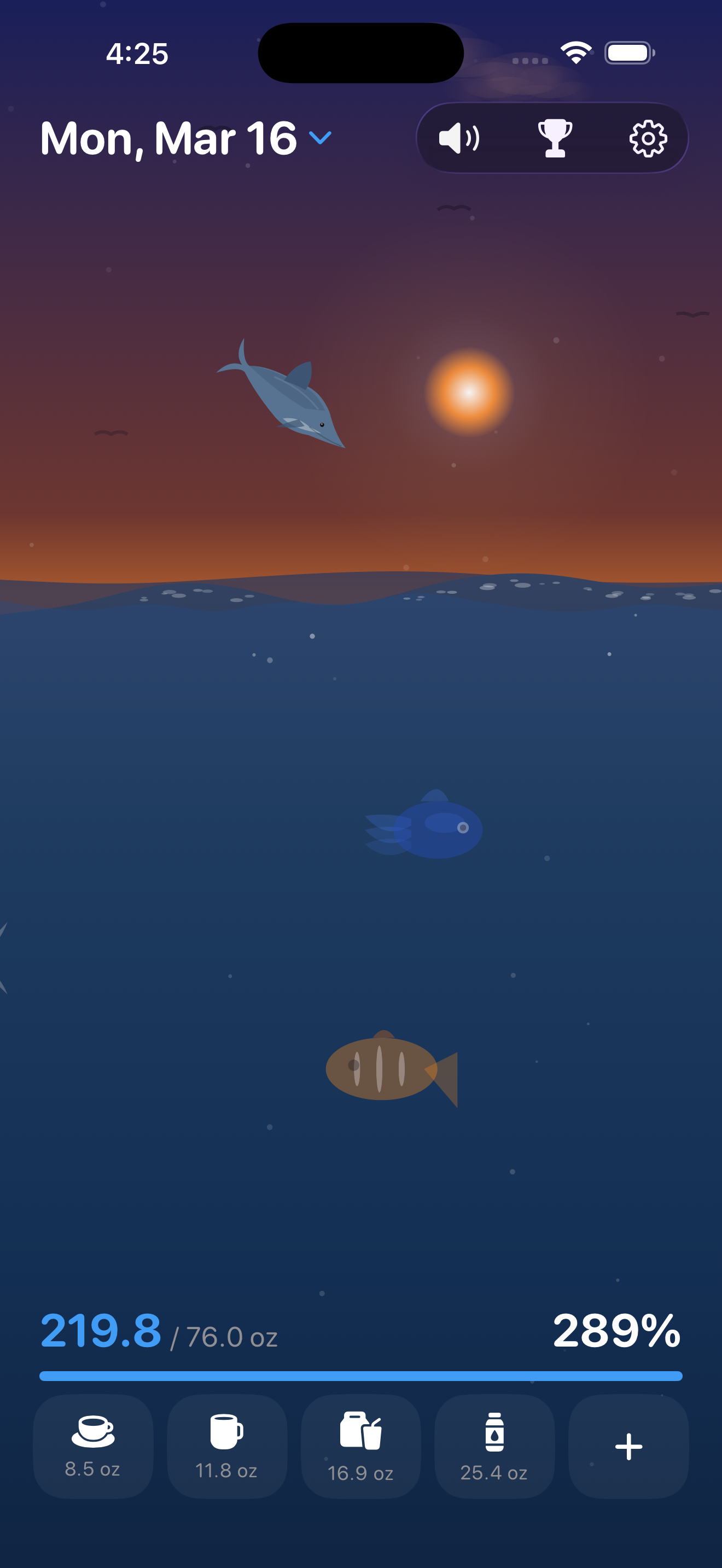 Dolphin Celebration Dawn Scene